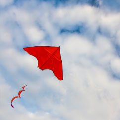 Kite Flying